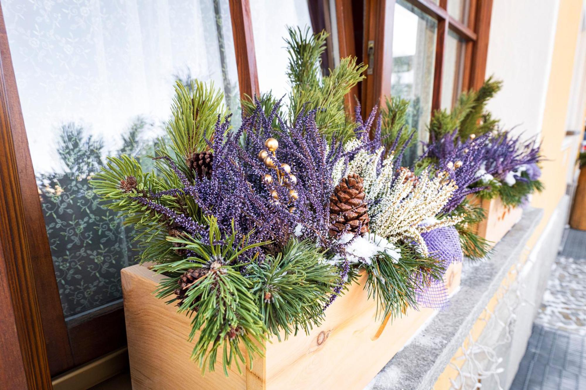 Chalet Rosita Livigno Eksteriør billede