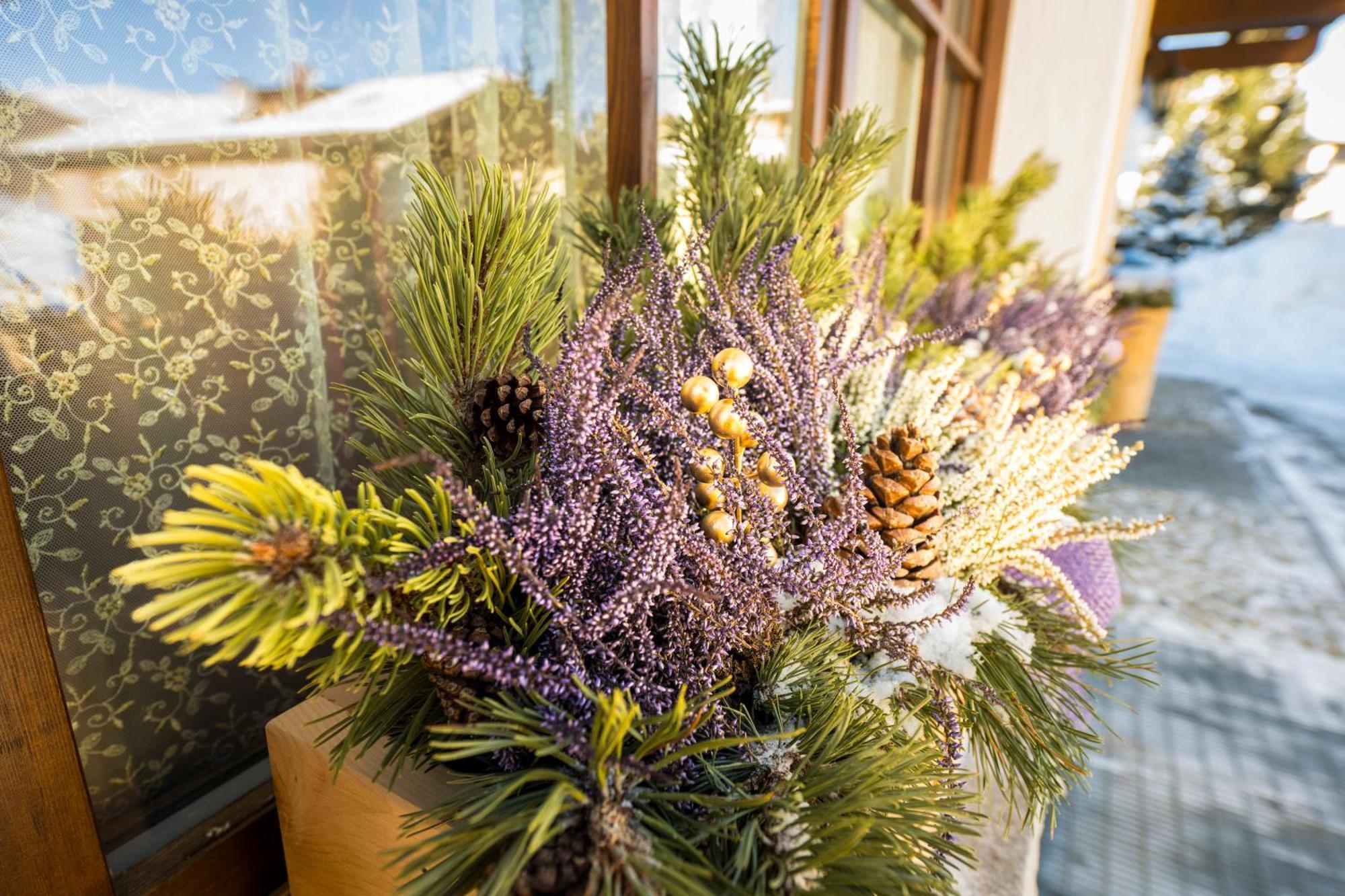 Chalet Rosita Livigno Eksteriør billede